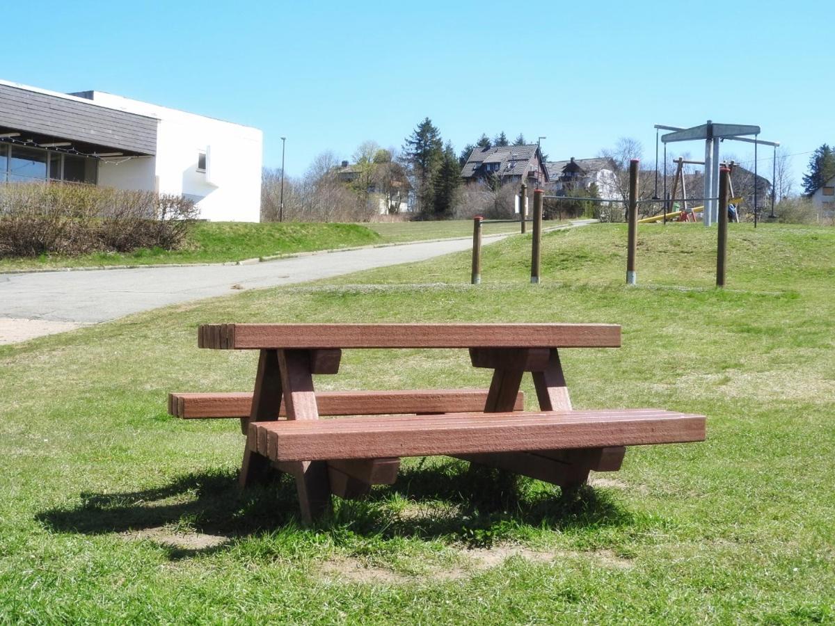 Appartement Zur Bergoase Mi Schwimmbad Hohegeiß Exterior foto