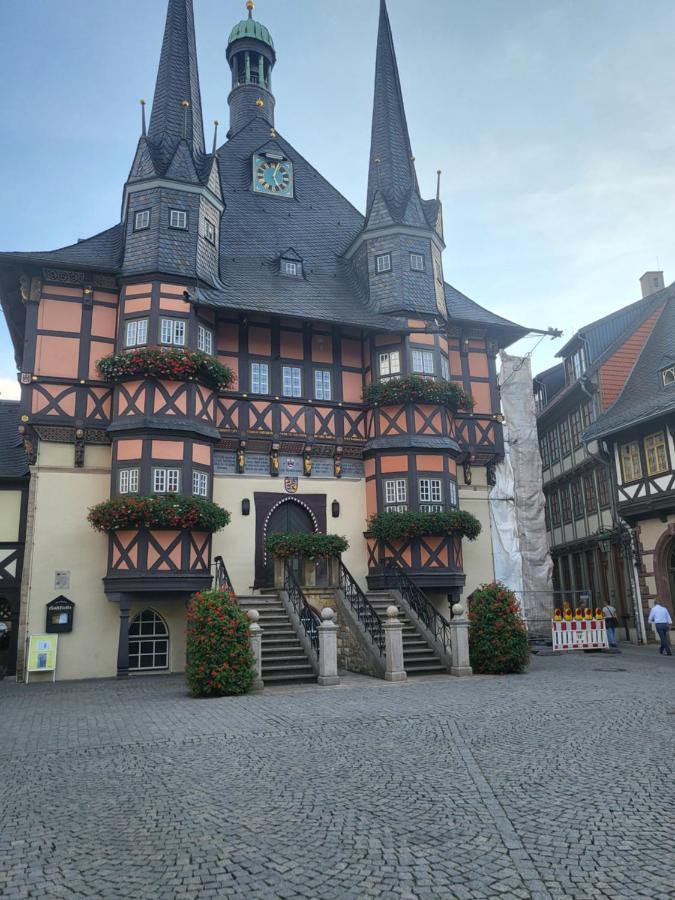 Appartement Zur Bergoase Mi Schwimmbad Hohegeiß Exterior foto